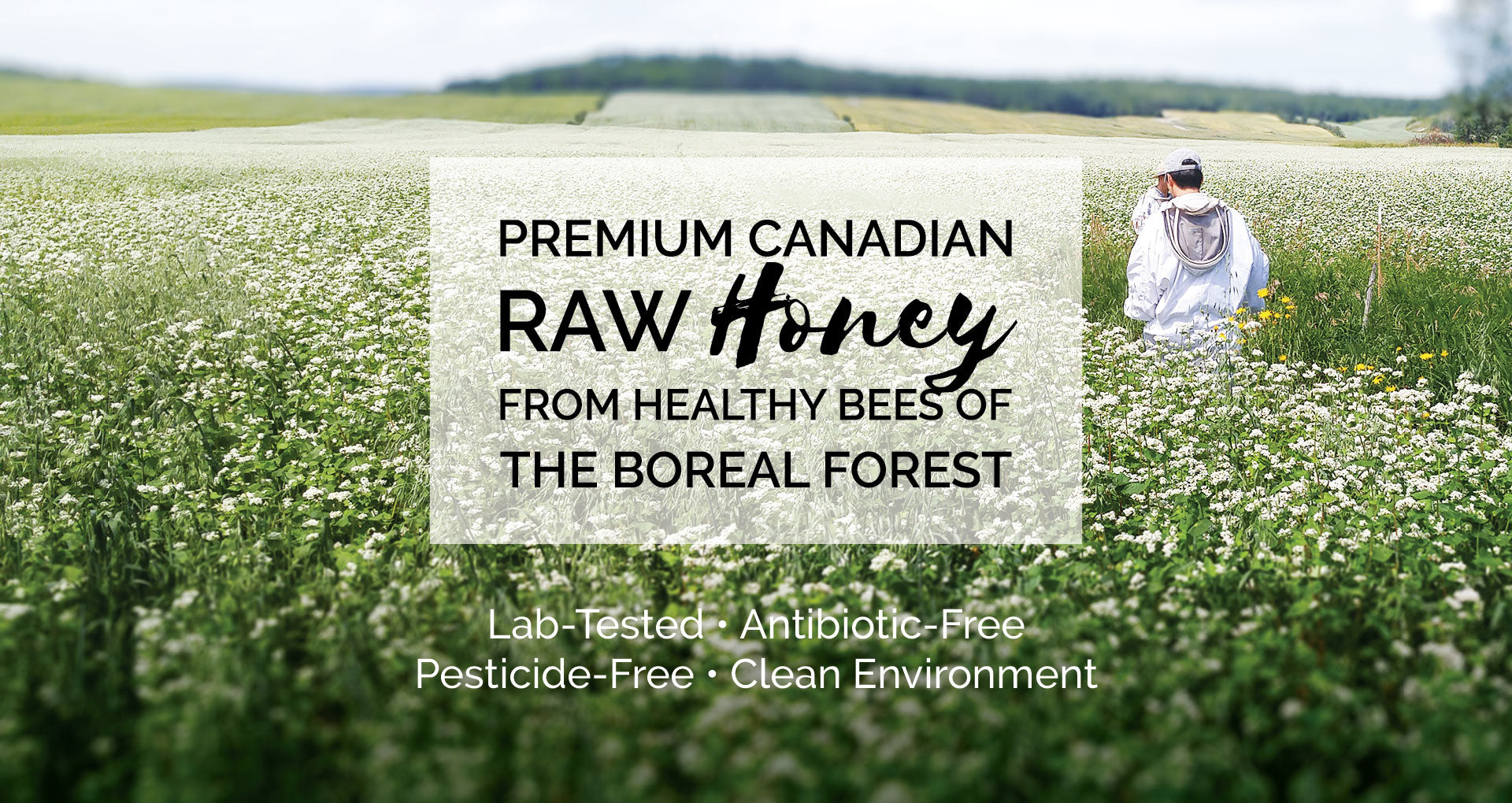 Premium Canadian Raw Honey