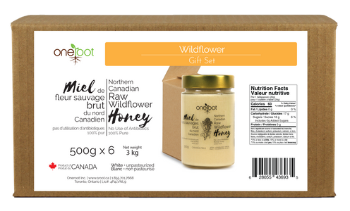Boreal Forest Wildflower Honey Gift Box - 500g x6 - organic honey